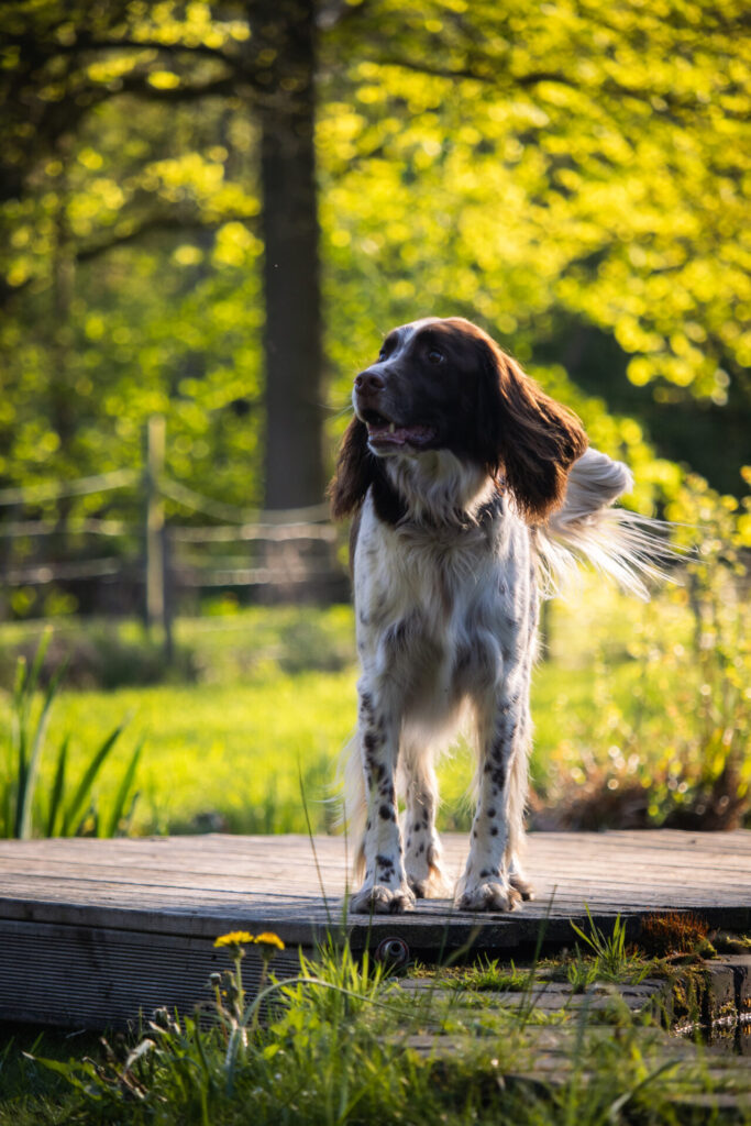 20240410_DJ_SET_LUNA_CANON_250D_44