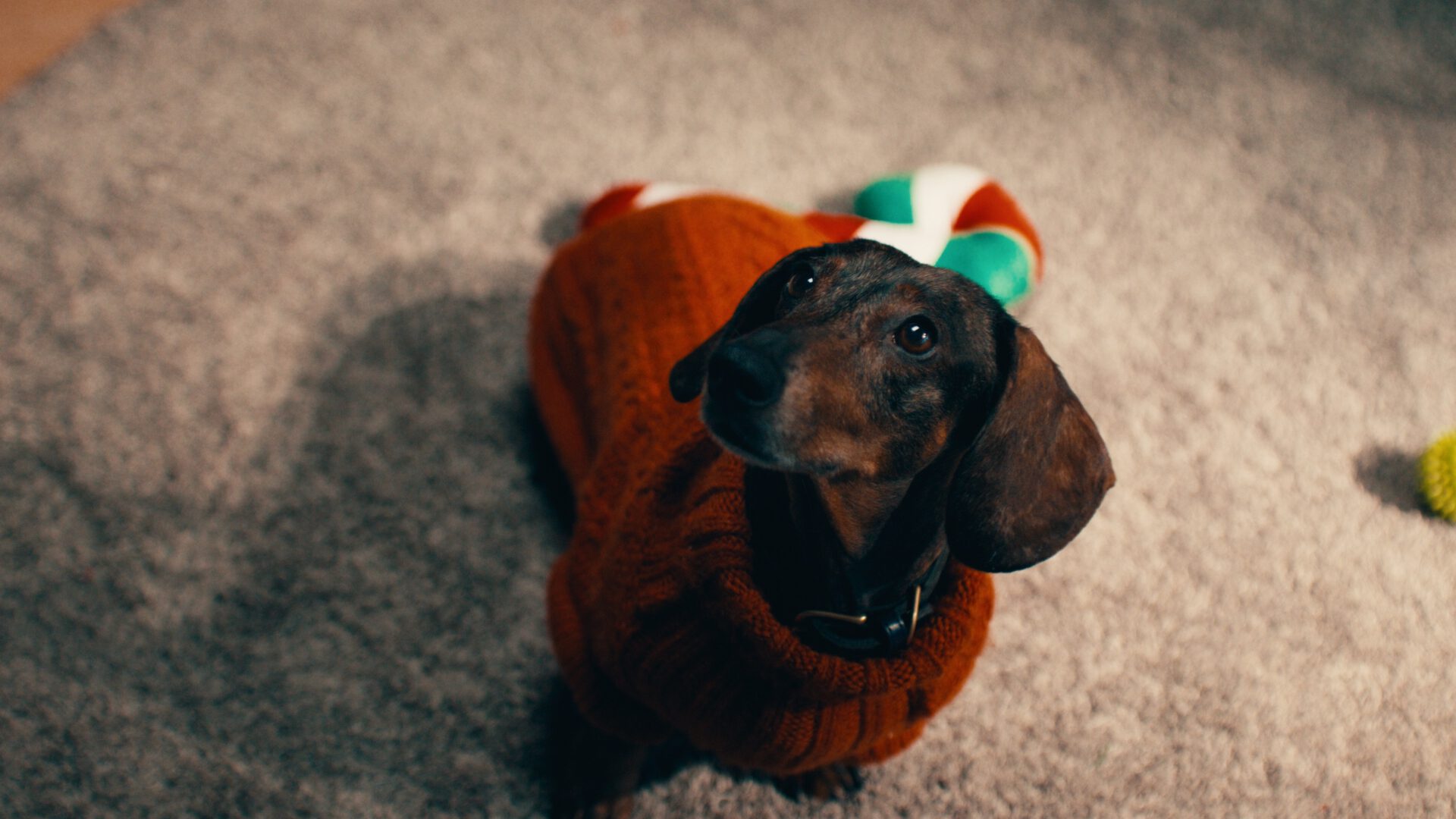 Calex XMAS Commercial