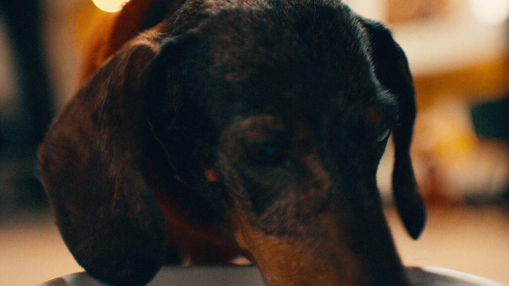 Still 2025-12-14 221845_1.9.1